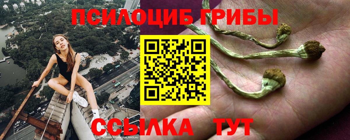 Галлюциногенные грибы MAGIC MUSHROOMS  Вход с VPN  Каспийск 