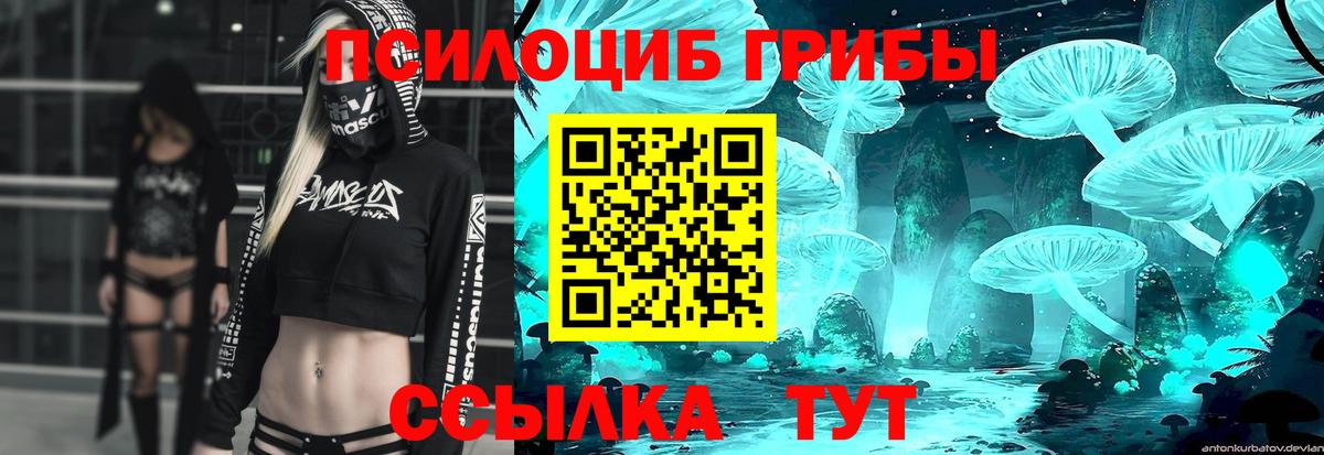Галлюциногенные грибы GOLDEN TEACHER Каспийск